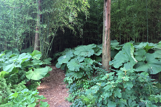 Digging Deeper: A Woodland Retreat Between Ocean and Meadow